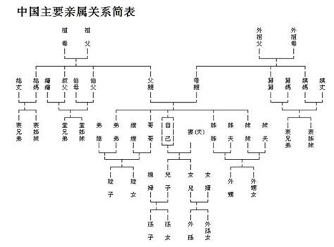 表哥個女|表親